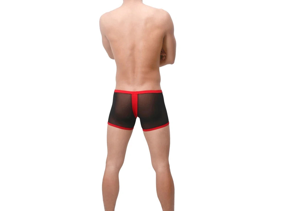 Gay Boxer Briefs | UzHot Mesh Transparent Boxer Briefs