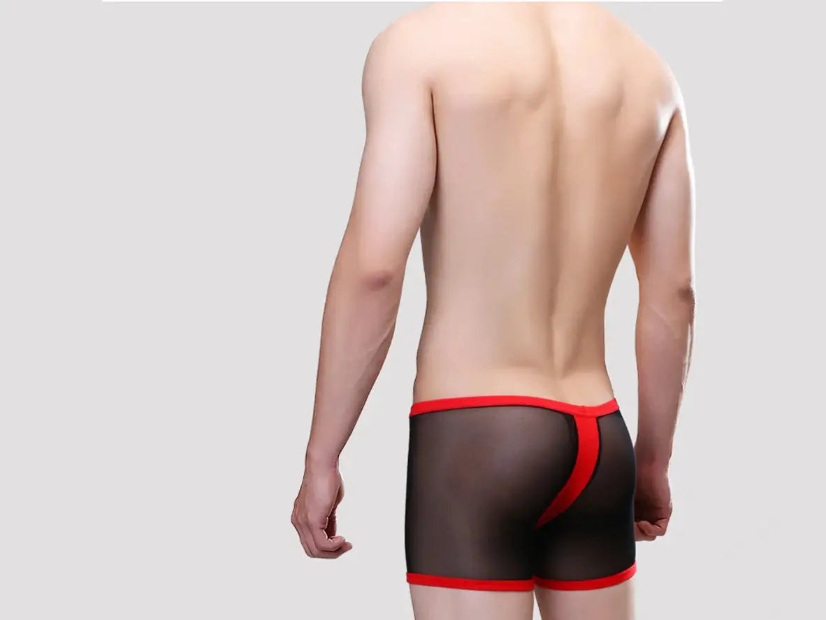 Gay Boxer Briefs | UzHot Mesh Transparent Boxer Briefs