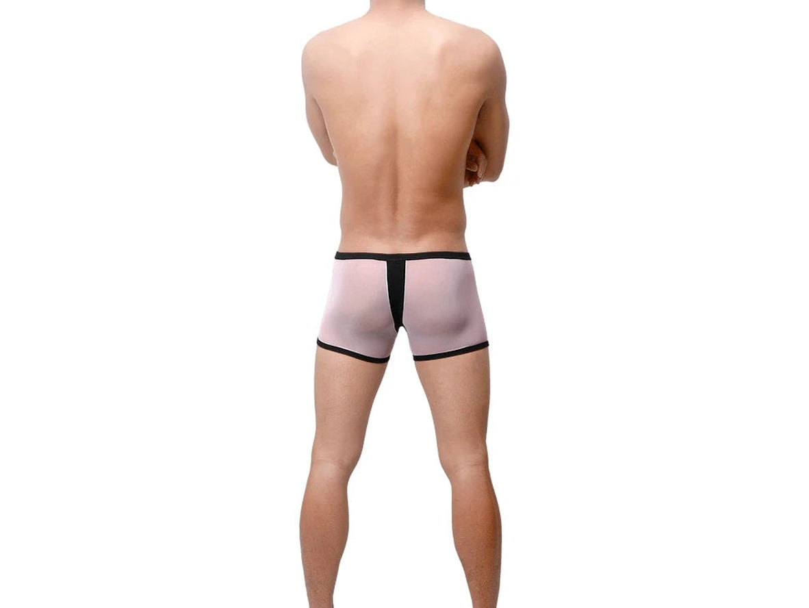 Gay Boxer Briefs | UzHot Mesh Transparent Boxer Briefs