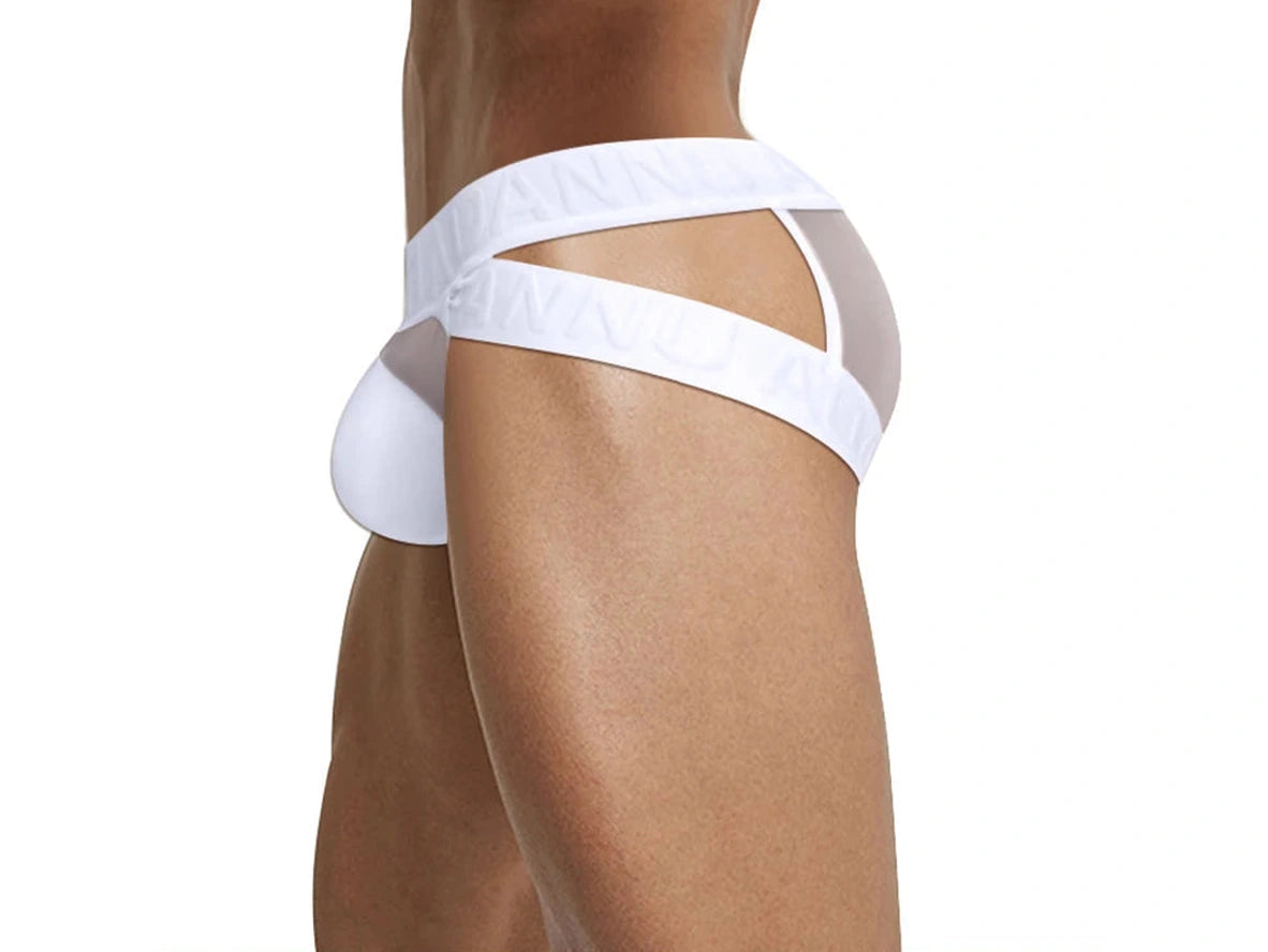 Gay Briefs | ADANNU Transparent Mesh Briefs