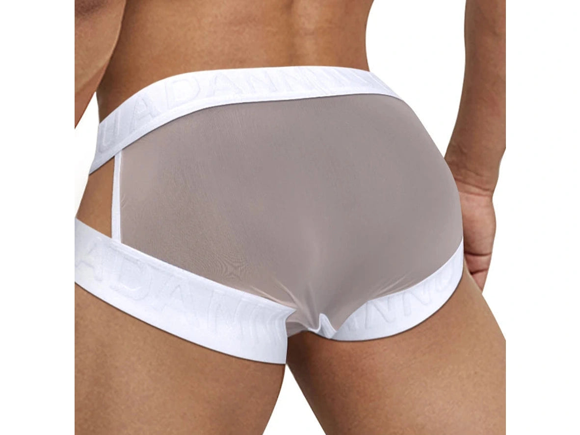 Gay Briefs | ADANNU Transparent Mesh Briefs