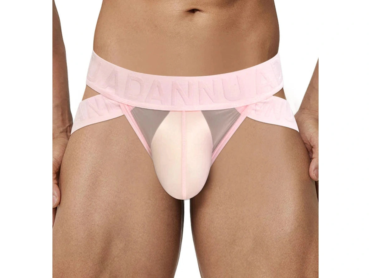 Gay Briefs | ADANNU Transparent Mesh Briefs