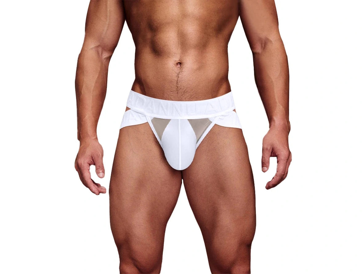 Gay Briefs | ADANNU Transparent Mesh Briefs