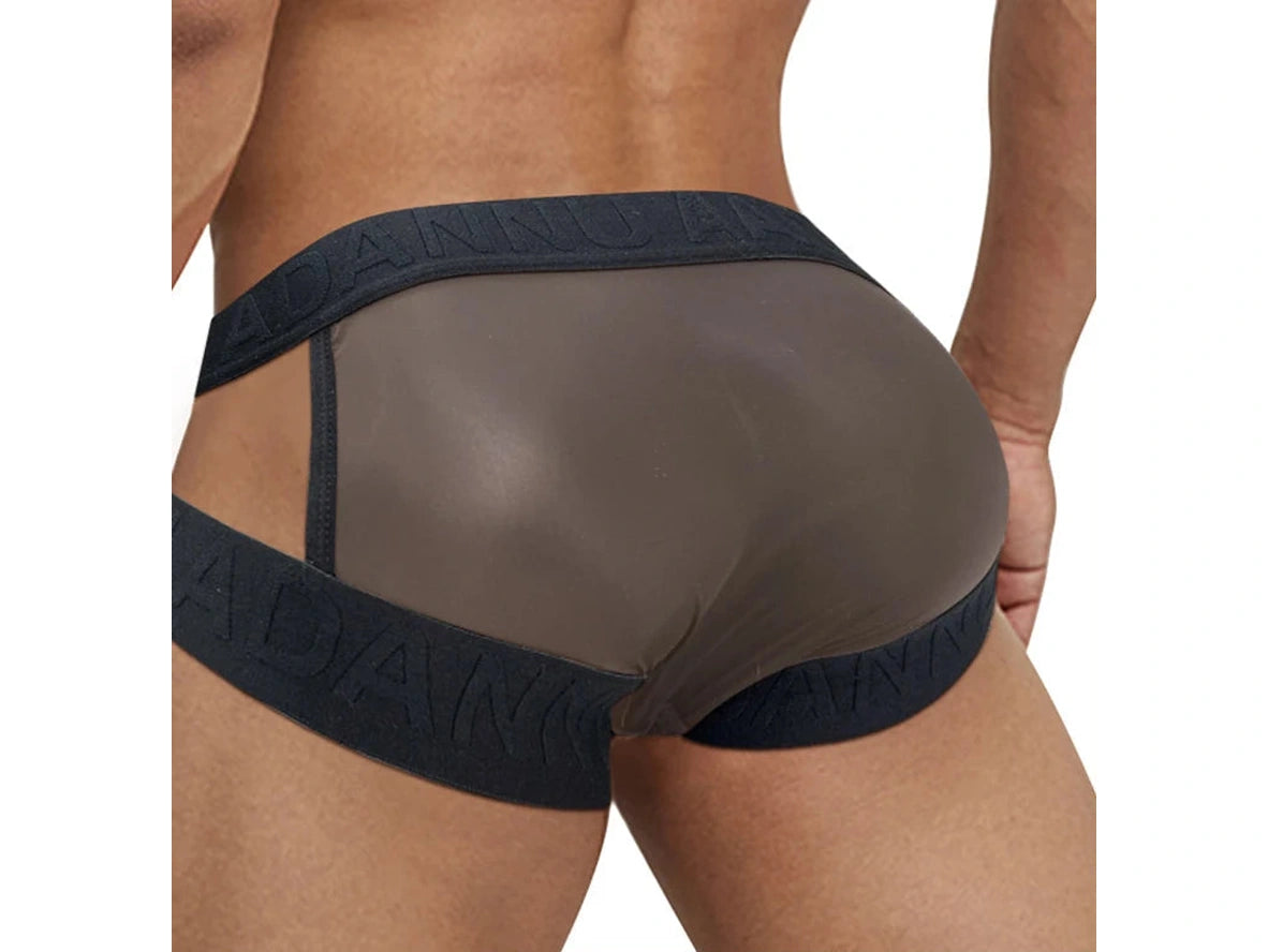 Gay Briefs | ADANNU Transparent Mesh Briefs