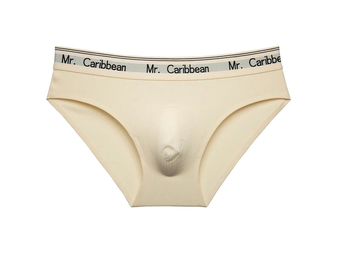 Gay Briefs | ALLMIX MR. CARIBBEAN Gay Briefs