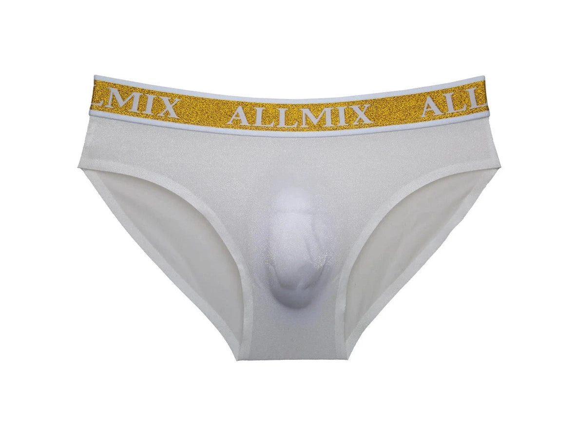 Gay Briefs | ALLMIX Seamless Sheer Briefs