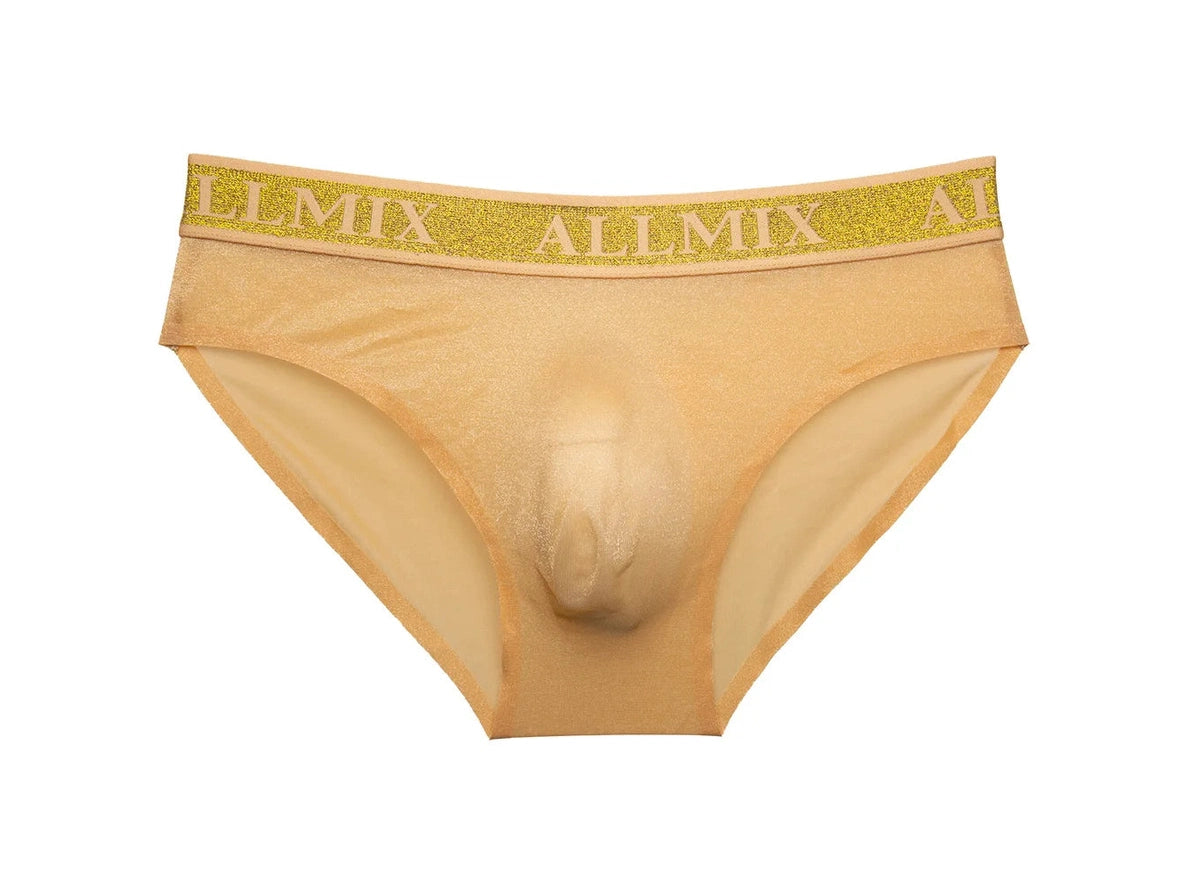 Gay Briefs | ALLMIX Seamless Sheer Briefs