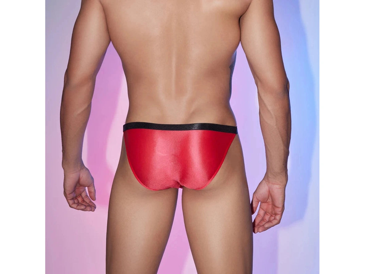 Gay Briefs | Bulge Pouch Glossy Briefs
