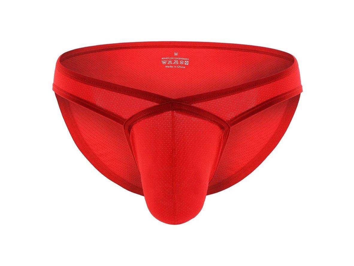 Gay Briefs | CLEVER-MENMODE Underwear Sexy Mesh Large Pouch Briefs