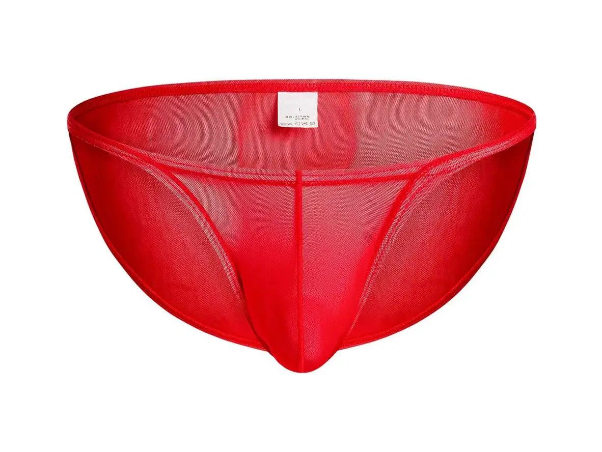 Gay Briefs | CLEVER-MENMODE Underwear Ultra-Thin Soft Briefs