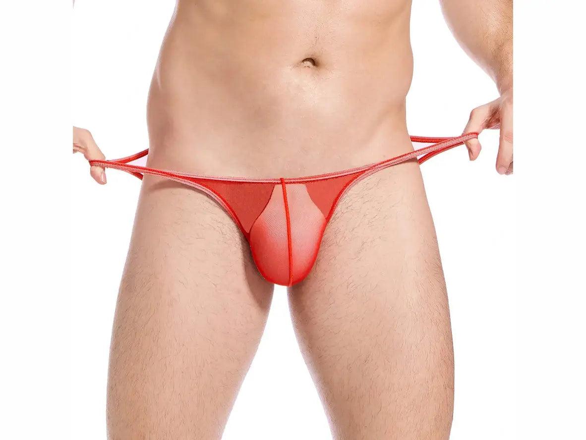 Gay Briefs | CLEVER-MENMODE Underwear Ultra-Thin Soft Briefs