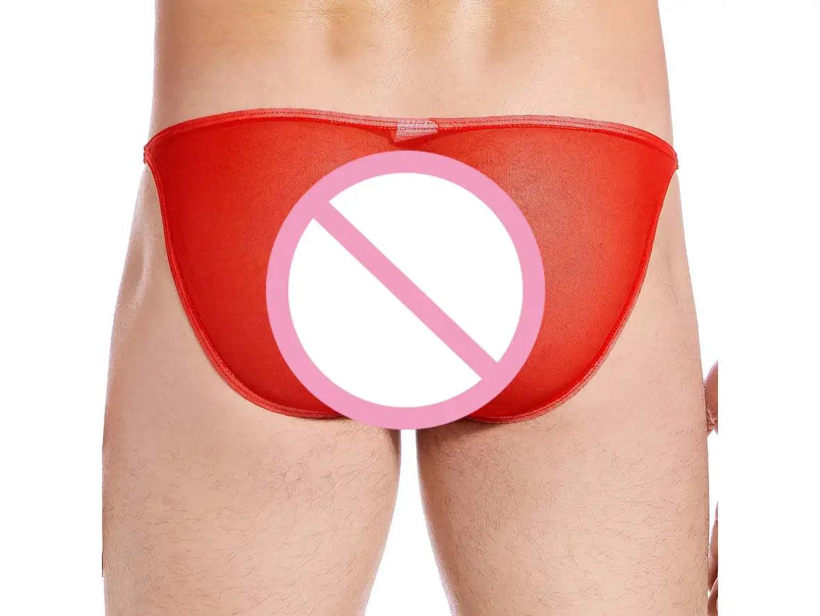 Gay Briefs | CLEVER-MENMODE Underwear Ultra-Thin Soft Briefs