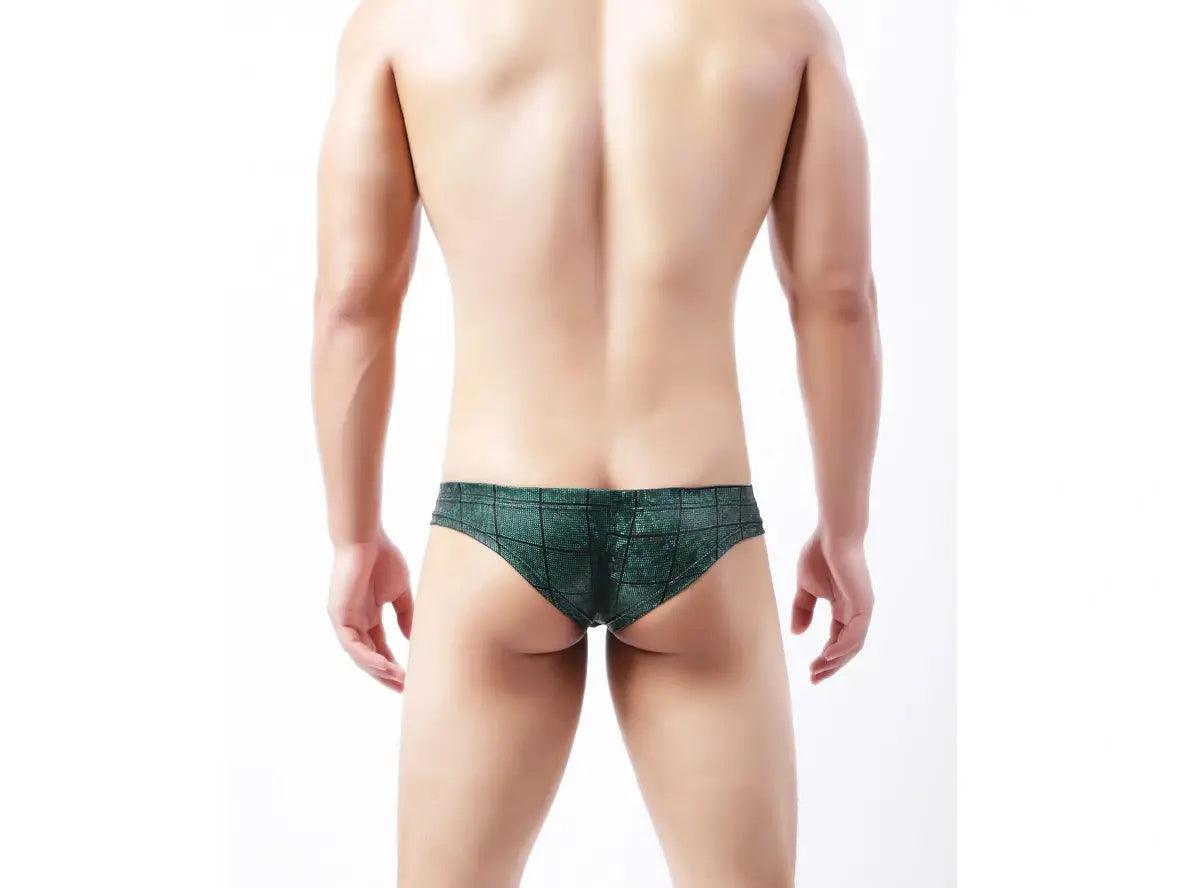 Gay Briefs | Cheeky Low-Rise Underwear Briefs