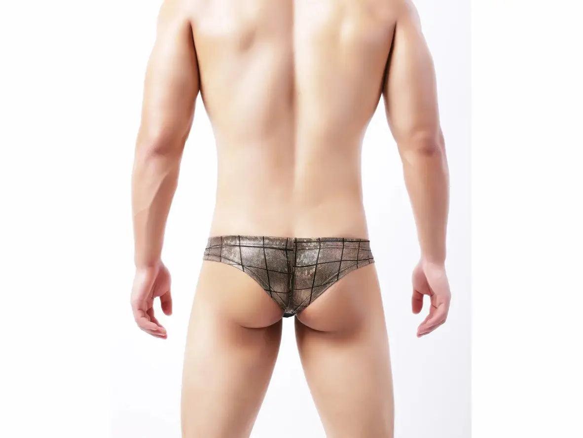 Gay Briefs | Cheeky Low-Rise Underwear Briefs