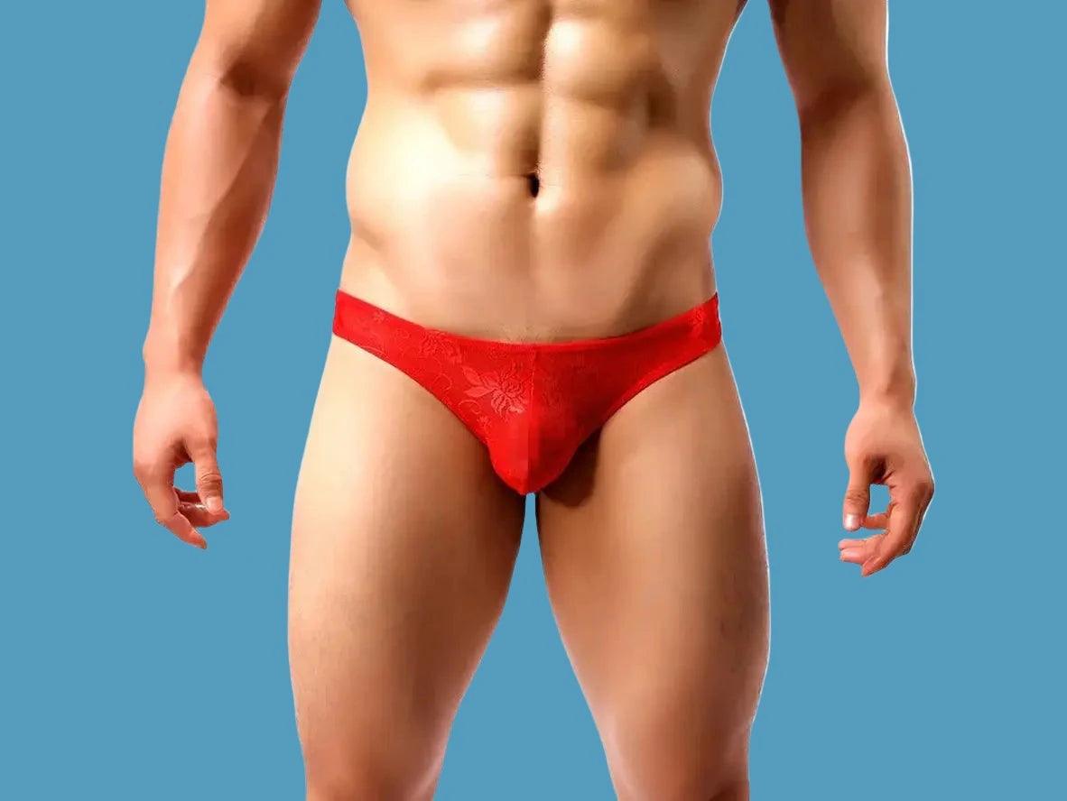 Gay Briefs | Cheeky Transparent Lace Briefs