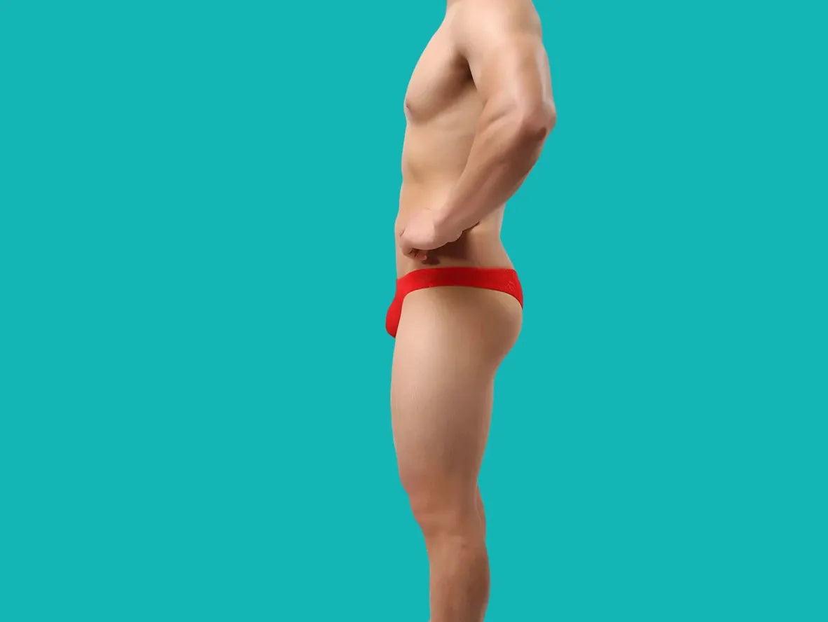 Gay Briefs | Cheeky Transparent Lace Briefs