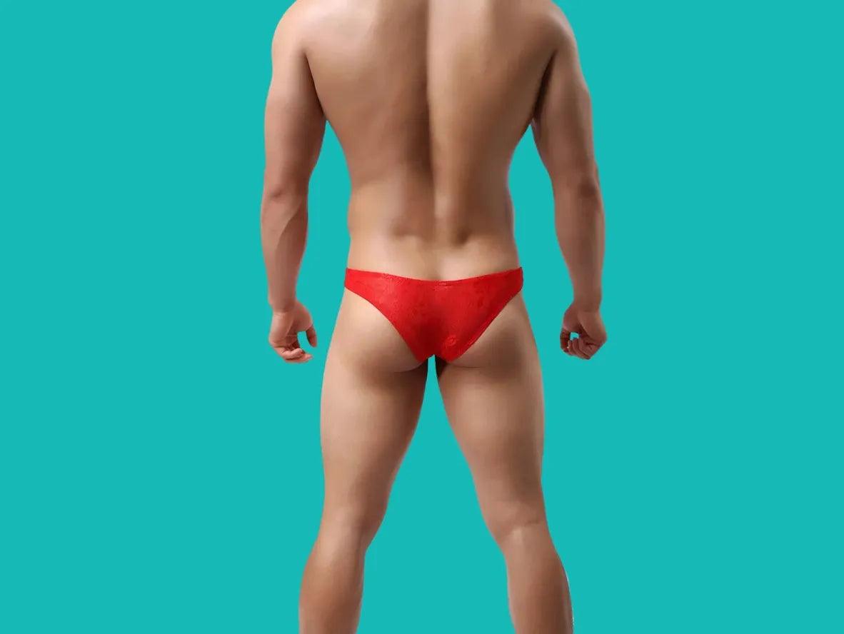 Gay Briefs | Cheeky Transparent Lace Briefs