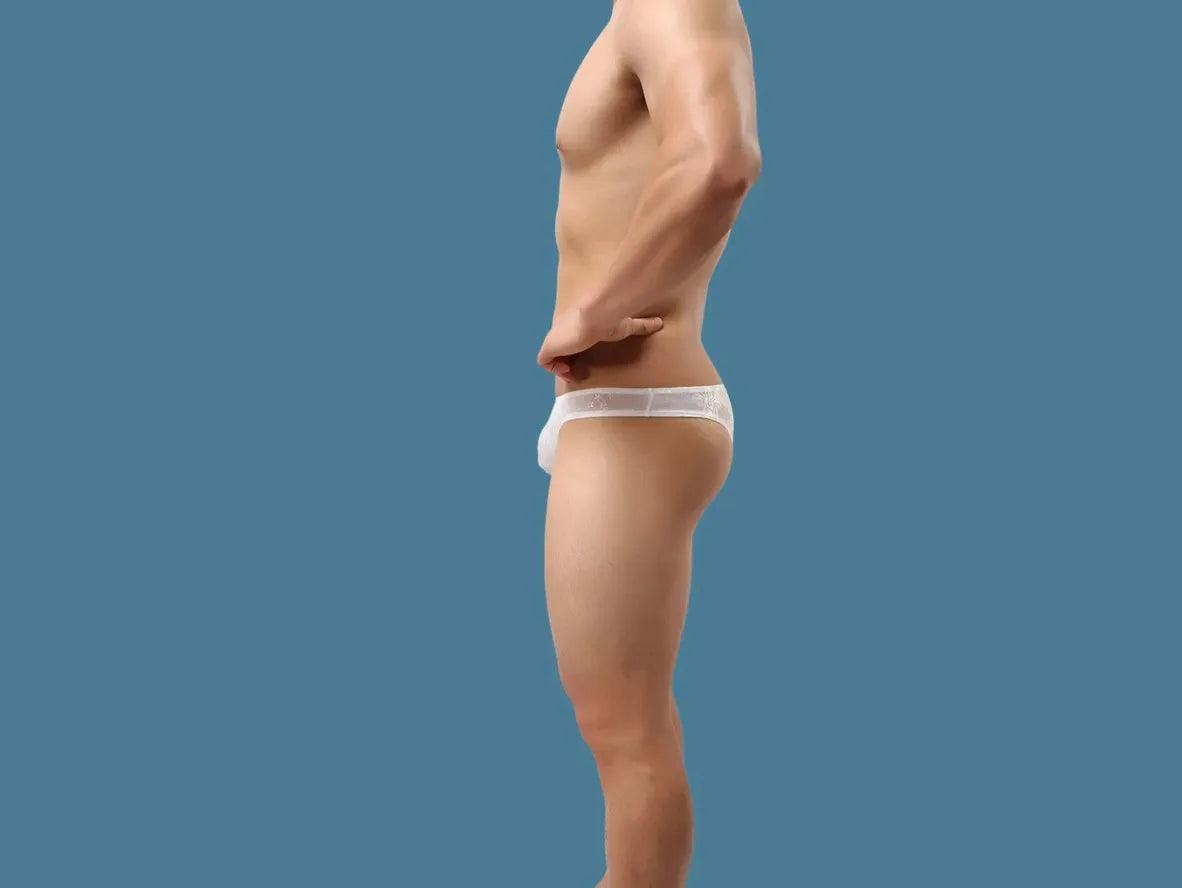 Gay Briefs | Cheeky Transparent Lace Briefs