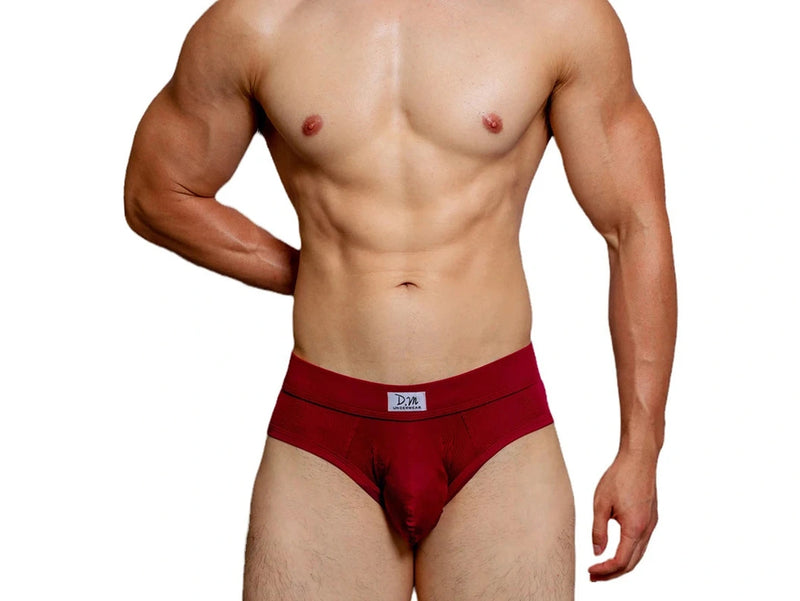 Gay Briefs | D.M Collection Comfortable Briefs