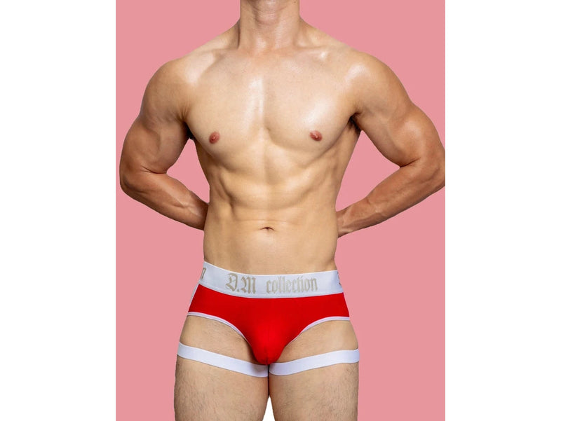 Gay Briefs | D.M Collection Garter Briefs