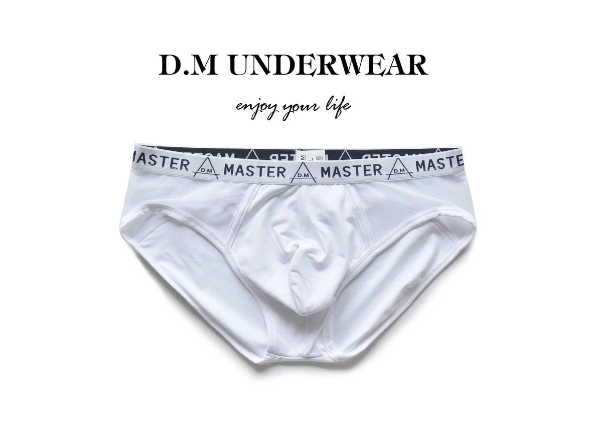 Gay Briefs | D.M &quot;MASTER&quot; Briefs