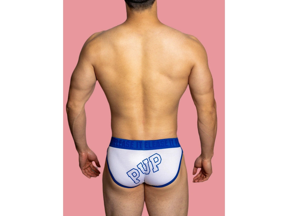 Gay Briefs | D. M &quot;PUP&quot; Briefs