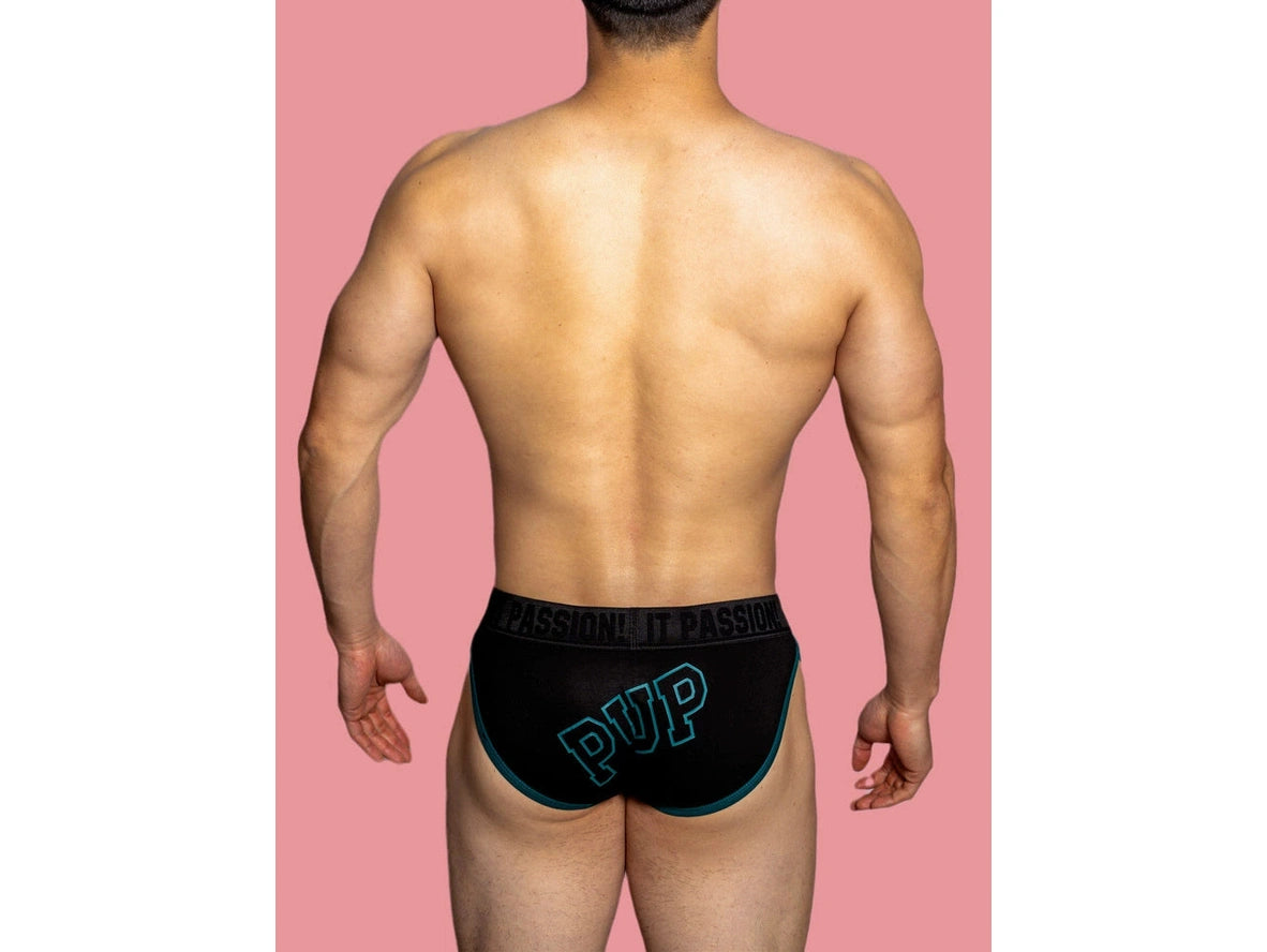 Gay Briefs | D. M &quot;PUP&quot; Briefs
