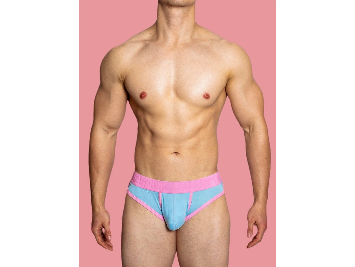 Gay Briefs | D. M &quot;PUP&quot; Briefs