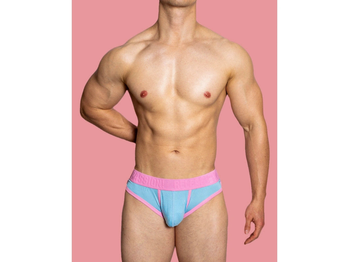 Gay Briefs | D. M &quot;PUP&quot; Briefs