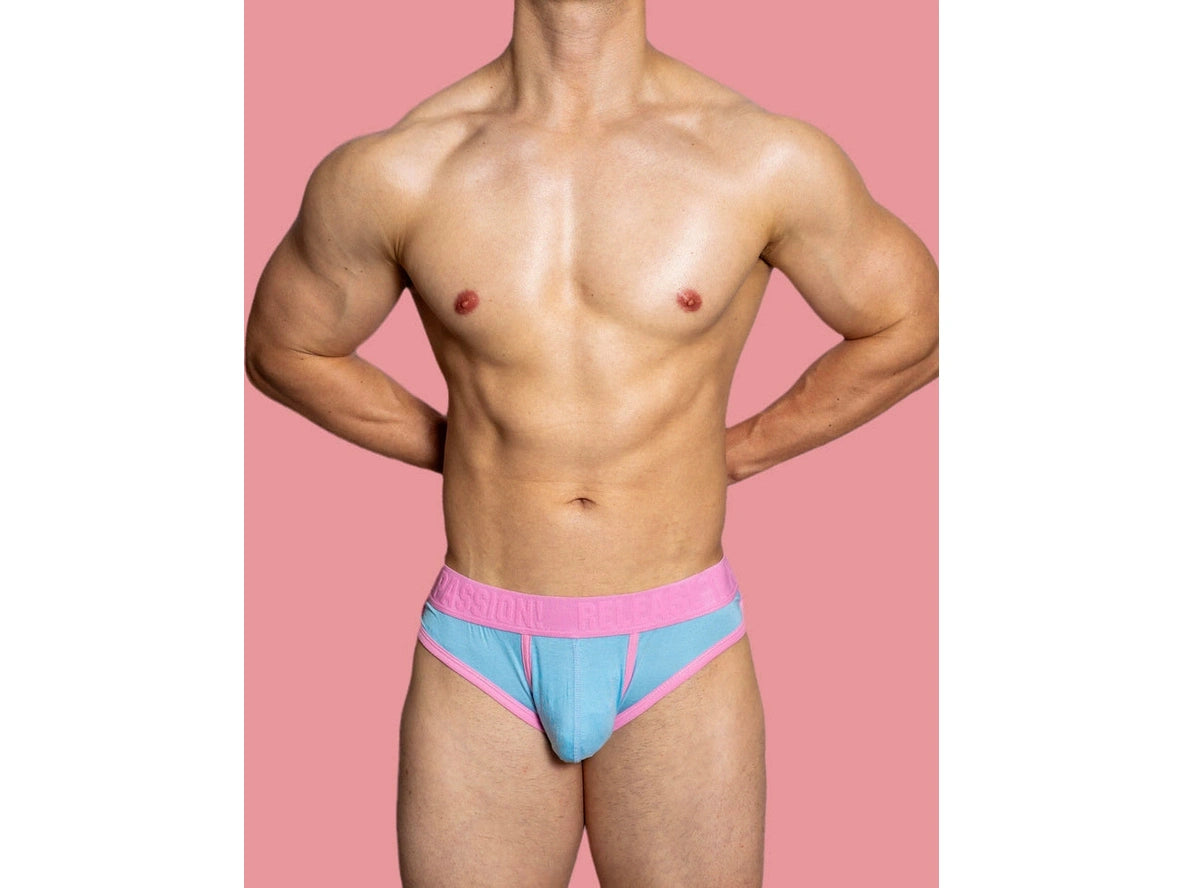 Gay Briefs | D. M &quot;PUP&quot; Briefs