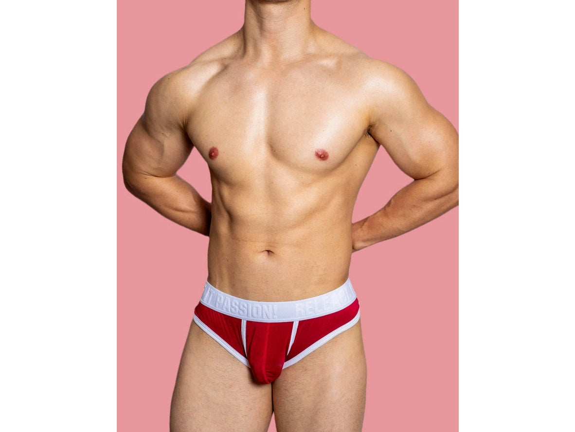 Gay Briefs | D. M &quot;PUP&quot; Briefs