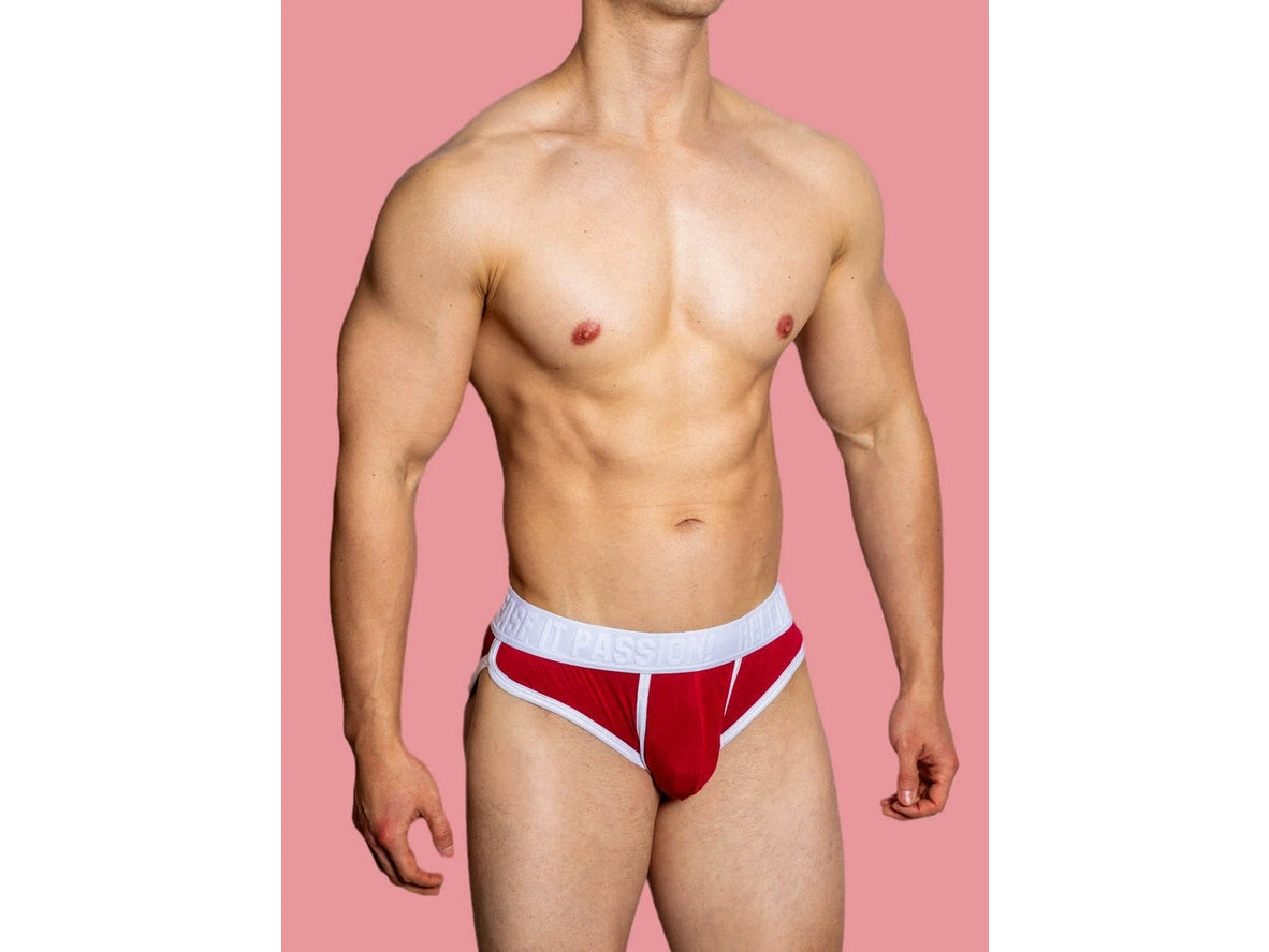 Gay Briefs | D. M &quot;PUP&quot; Briefs