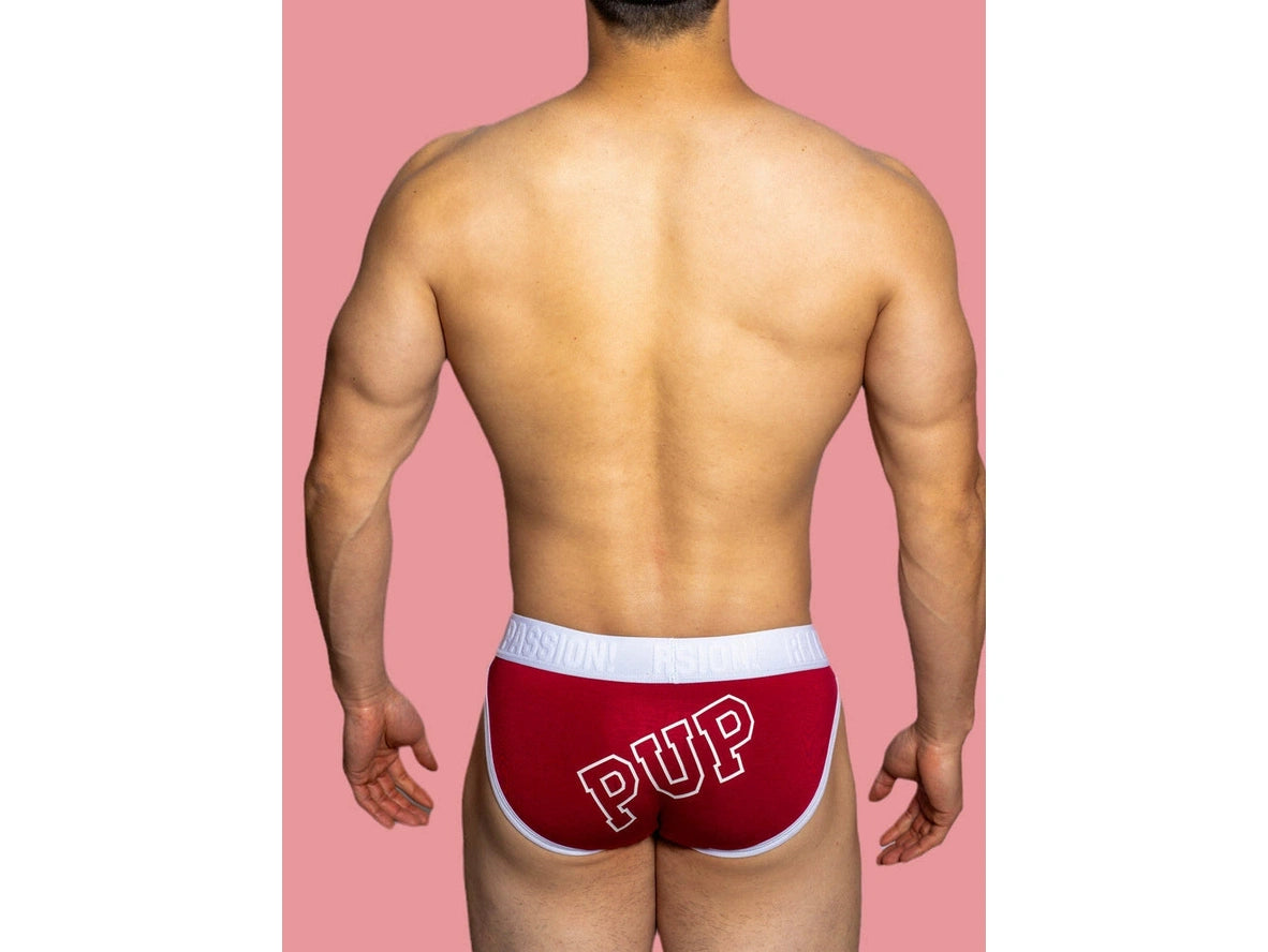 Gay Briefs | D. M &quot;PUP&quot; Briefs