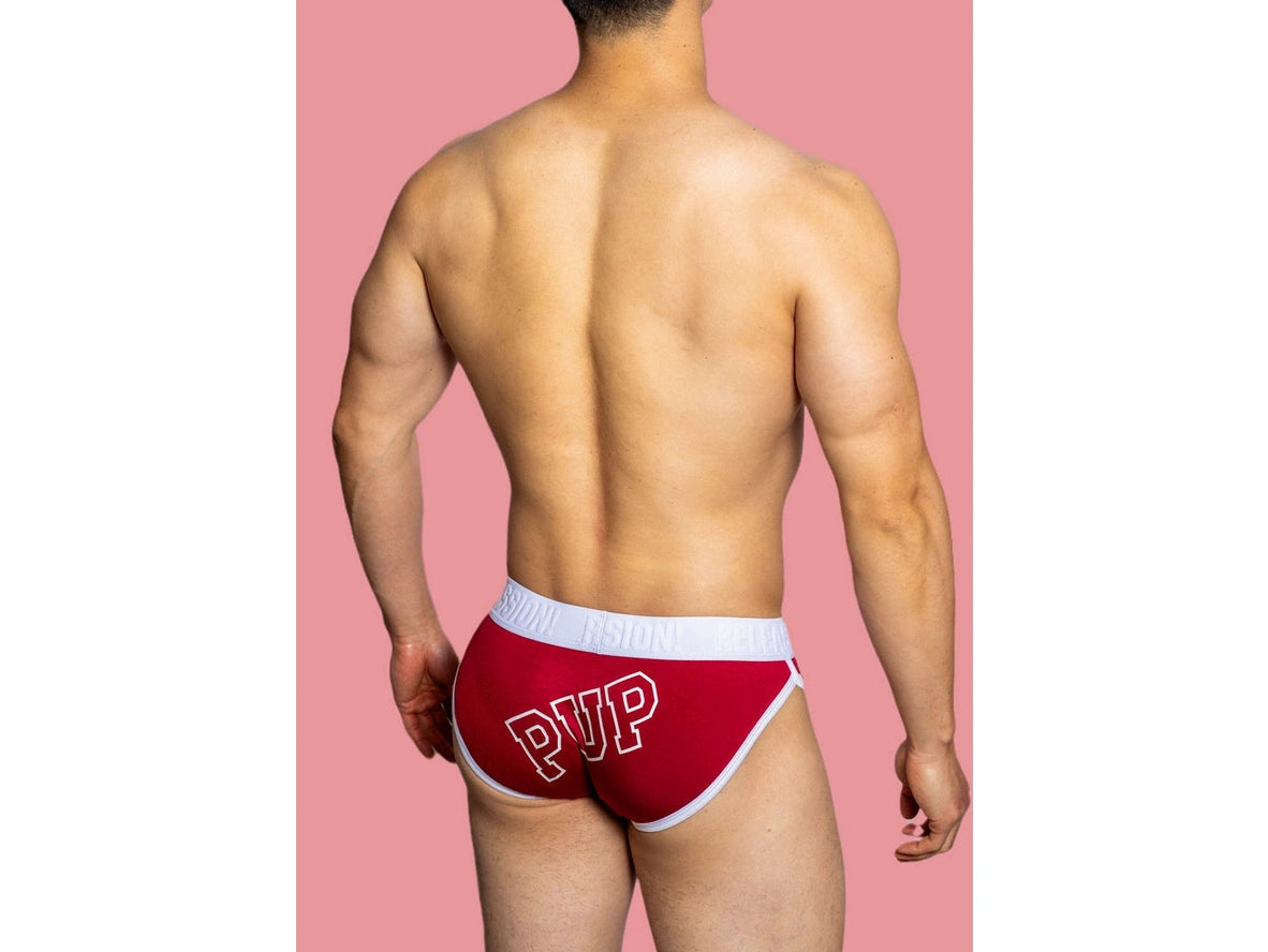 Gay Briefs | D. M &quot;PUP&quot; Briefs