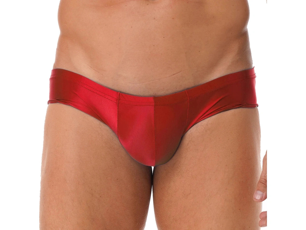Gay Briefs | Glossy Hipster Briefs