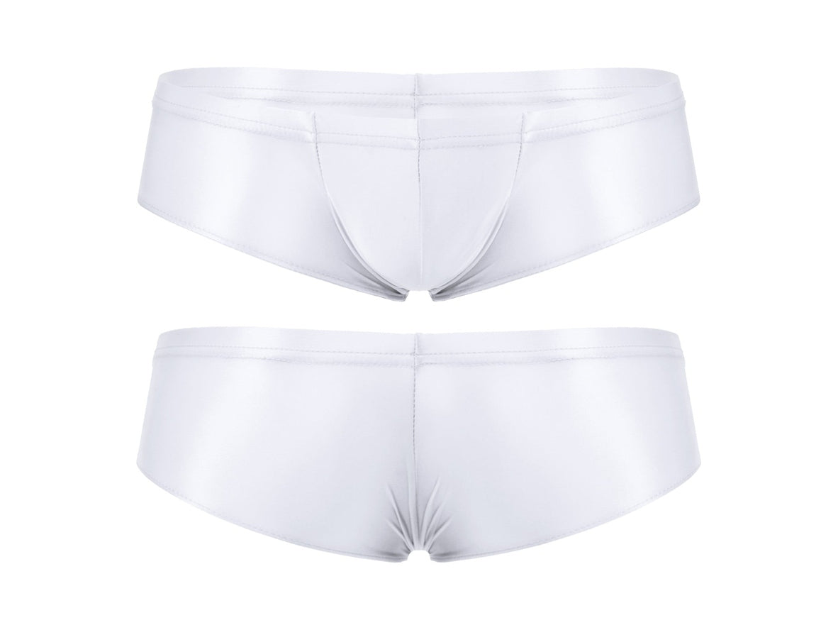 Gay Briefs | Glossy Hipster Briefs