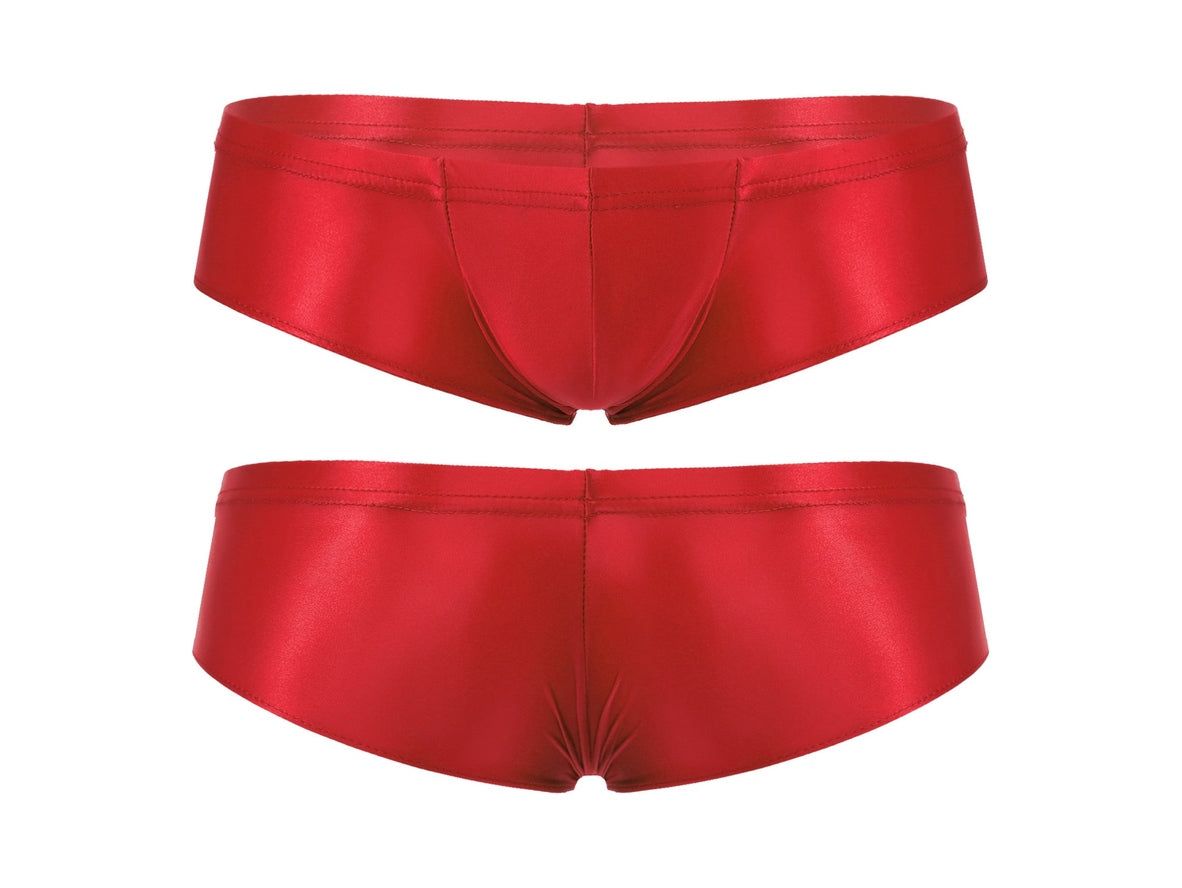 Gay Briefs | Glossy Hipster Briefs
