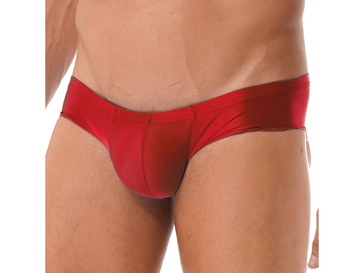 Gay Briefs | Glossy Hipster Briefs