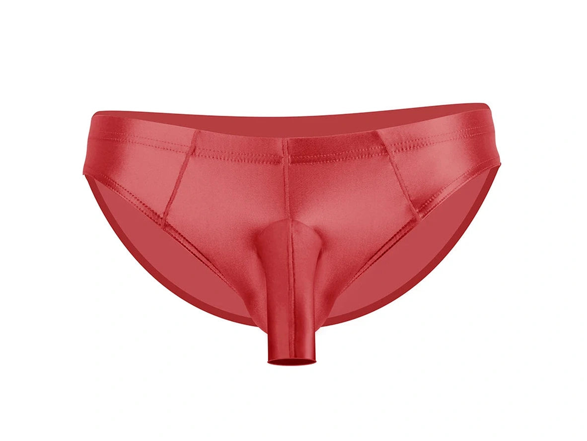 Gay Briefs | Glossy Open Pouch Briefs