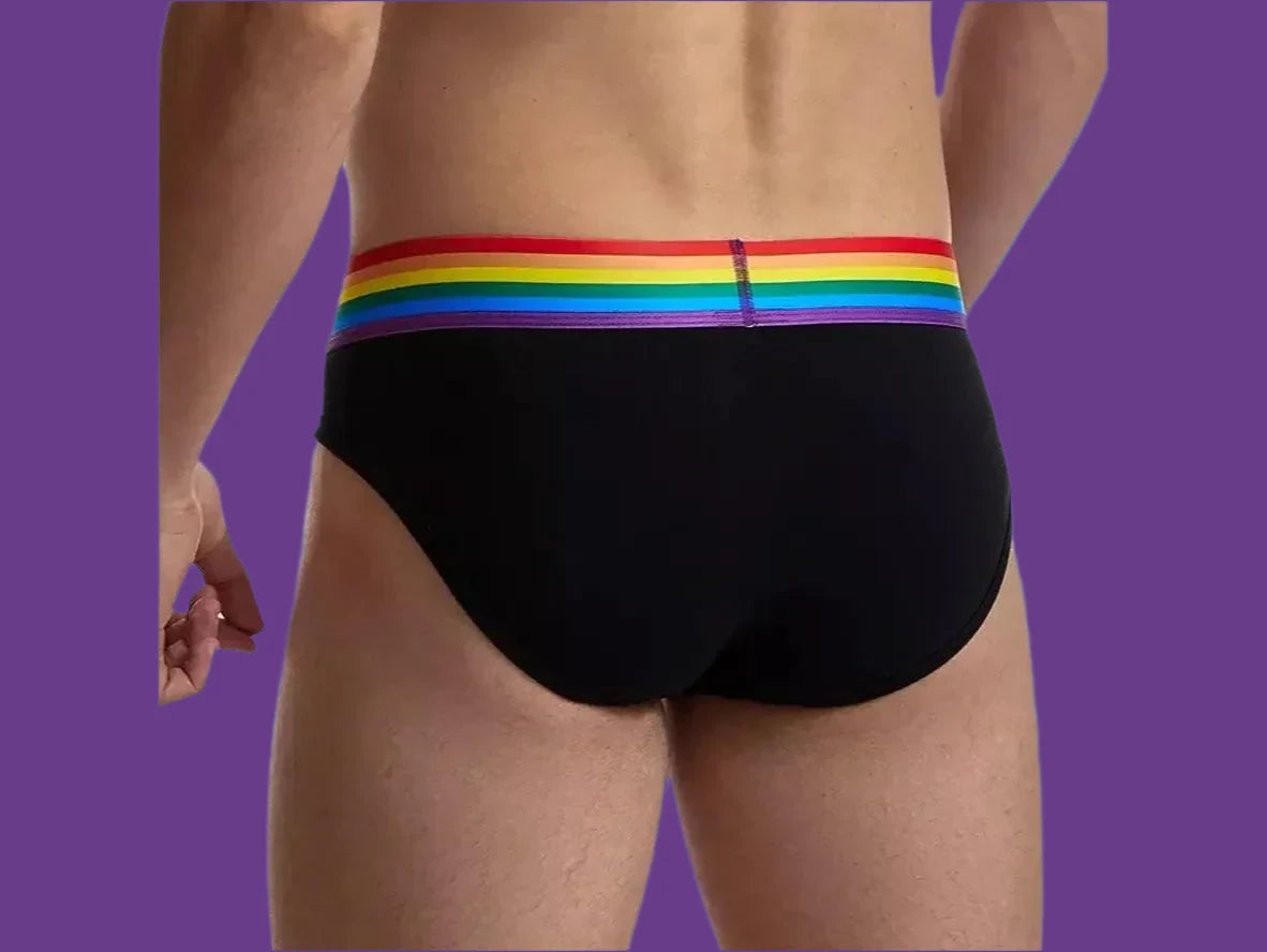 Gay Briefs | JOCKMAIL Underwear Pride Briefs