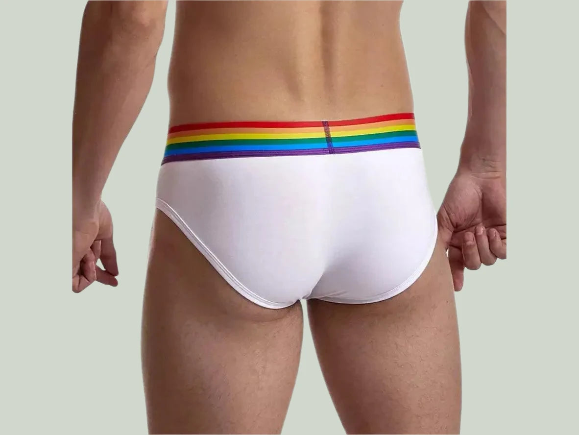 Gay Briefs | JOCKMAIL Underwear Pride Briefs
