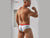 Gay Briefs | LOOK SEE U Convex Bamboo Pulp Fiber Cheeky Boxer Briefs