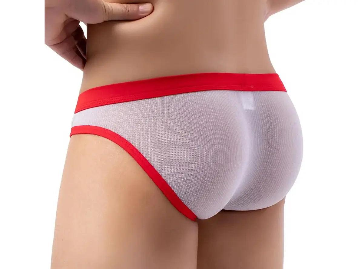 Gay Briefs | Low-Rise Thin Mesh Briefs