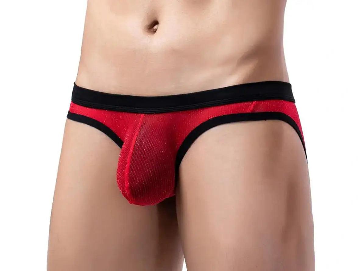 Gay Briefs | Low-Rise Thin Mesh Briefs