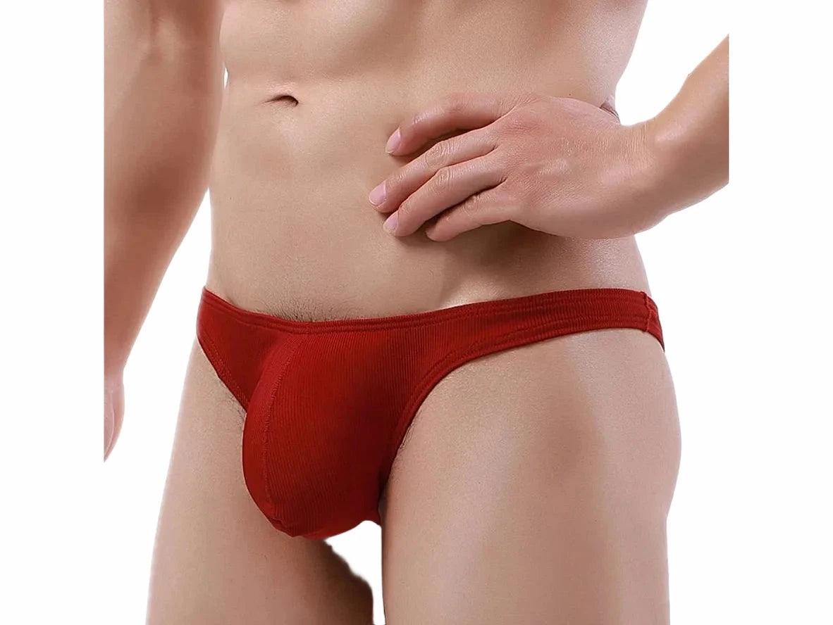 Gay Briefs | Low-Rise U Convex Pouch Underwear Briefs