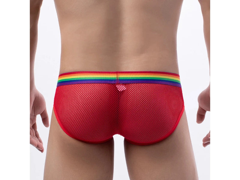 Gay Briefs | Pride Mesh See Through Sexy Briefs