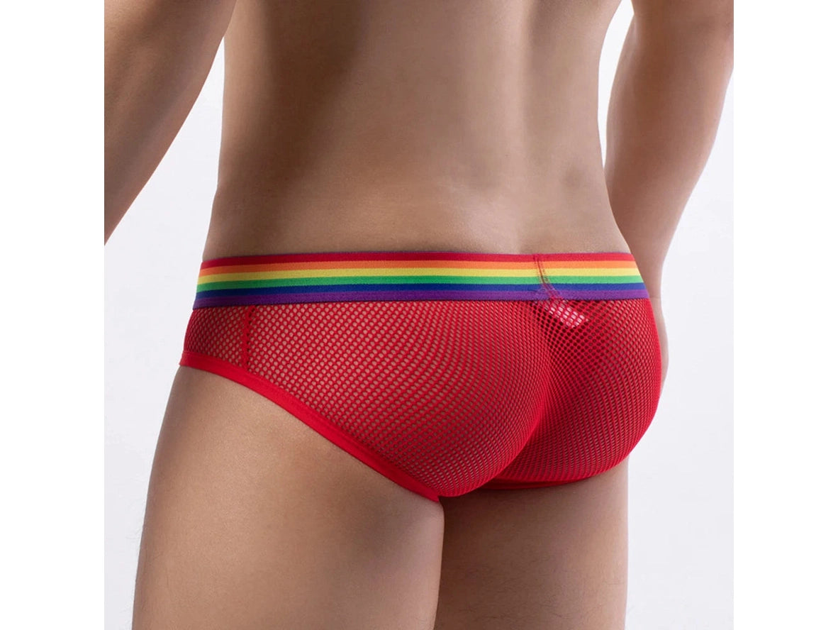 Gay Briefs | Pride Mesh See Through Sexy Briefs