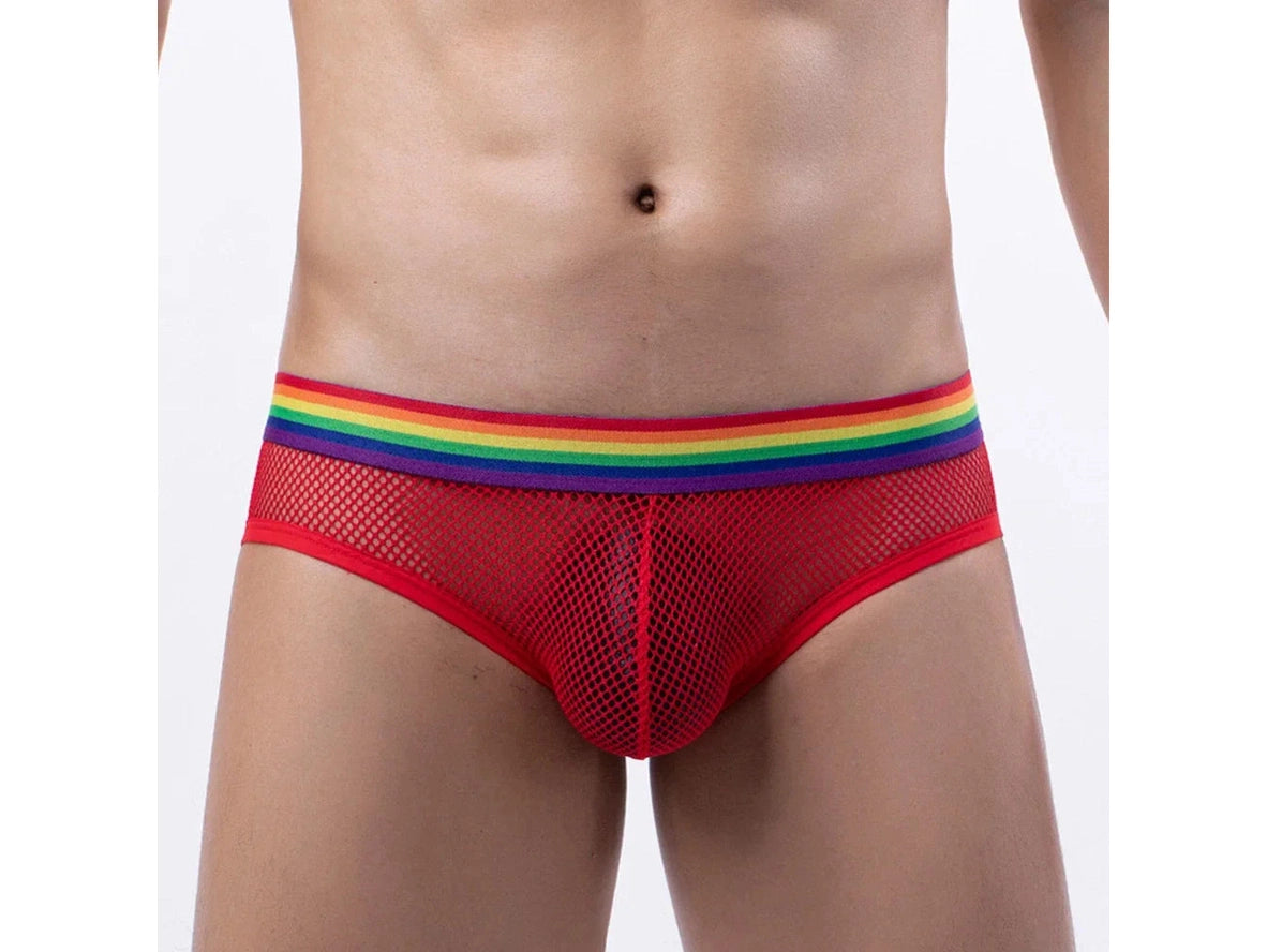 Gay Briefs | Pride Mesh See Through Sexy Briefs