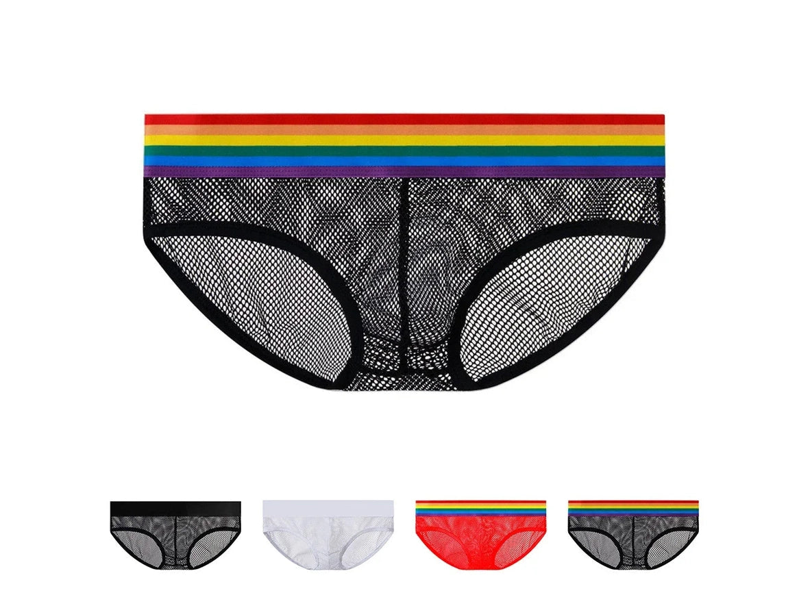 Gay Briefs | Pride Mesh See Through Sexy Briefs