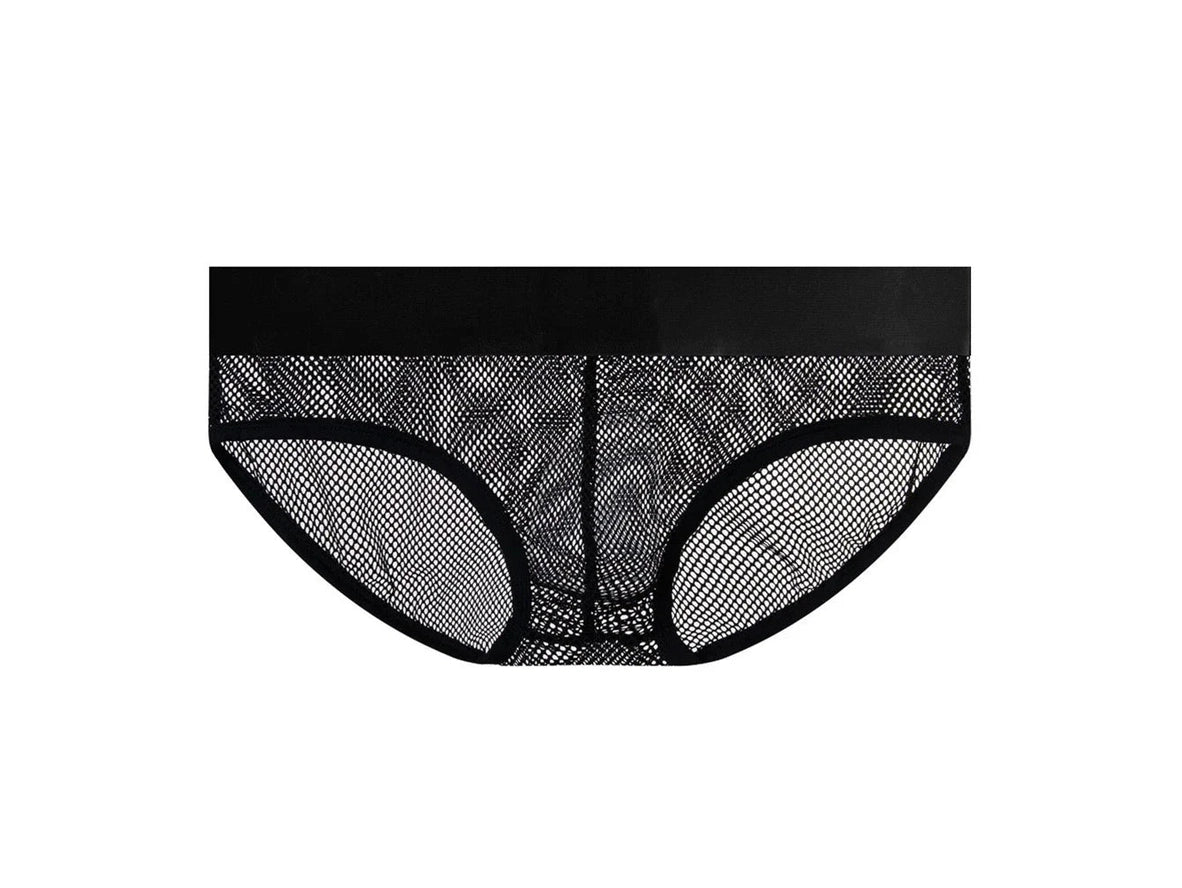 Gay Briefs | Pride Mesh See Through Sexy Briefs